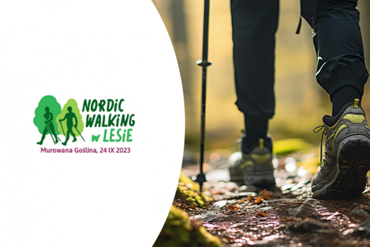 grafika przedstawiająca logo "Nordic walking w lesie", z prawej strony znajduje się zdjęcie nóg osoby, która spaceruje po lesie,